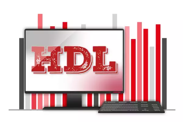 HDL-Entwürfe